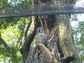 IMGP1159.JPG
